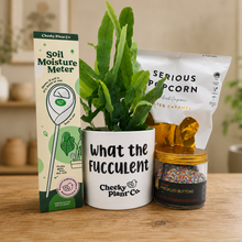 Load image into Gallery viewer, What The Fucculent - Plant Gift Hamper - Sydney Only