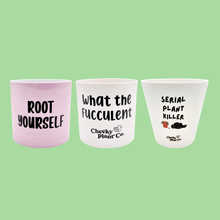 Load image into Gallery viewer, Plant Drama - Pot Bundle