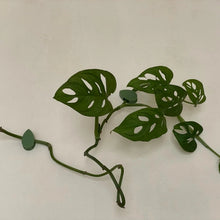 Load image into Gallery viewer, Plant Clips - Pack of 24 - Cheeky Plant Co.