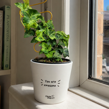 Load image into Gallery viewer, Awesome - Cheeky Plant Co. Positive Pot - 11cmD x 11cmH