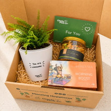 Load image into Gallery viewer, Positive Vibes - Plant Gift Box