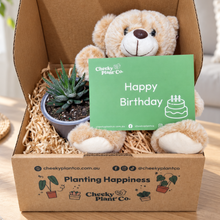 Load image into Gallery viewer, Teddy Bear & Succulent Gift Box