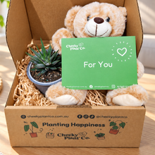 Load image into Gallery viewer, Teddy Bear & Succulent Gift Box