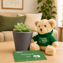 Load image into Gallery viewer, Teddy Bear & Succulent Gift Box