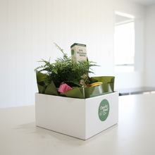 Load image into Gallery viewer, Cheeky Plant Co. Hamper – Living Room