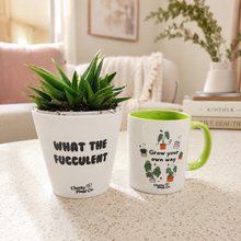 Load image into Gallery viewer, Cheeky Motivation - Succulent Gift Box