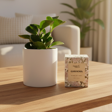 Load image into Gallery viewer, Loving Memory Condolences Gift - Plant & Candle - Sydney Only