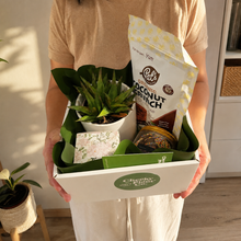 Load image into Gallery viewer, Deepest Sympathy Gift Hamper with Succulent - Sydney Only