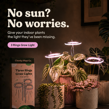 Load image into Gallery viewer, Three Rings Grow Lights - Pink White - Cheeky Plant Co.