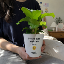 Load image into Gallery viewer, Feeling Cute Might Die Later - Cheeky Plant Co. Pot - 13.5cmD x 11.5cmH