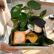 Load image into Gallery viewer, Graduation Congratulations - Plant Gift Hamper - Sydney Only