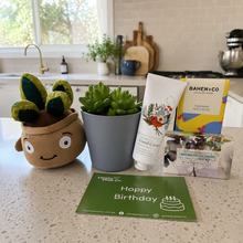 Load image into Gallery viewer, Happy Birthday - Succulent Hamper / Succulent Gift Box