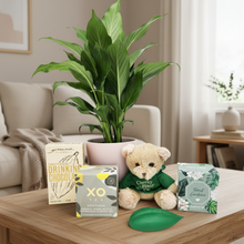 Load image into Gallery viewer, Living room sympathy gift setting