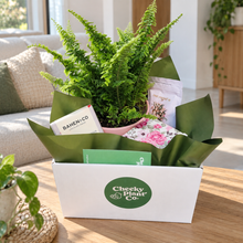 Load image into Gallery viewer, I Love You Plant Gift Hamper - Sydney Only