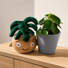 Load image into Gallery viewer, Plushie & Plant Gift Box