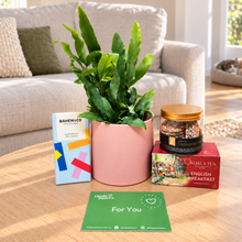 Load image into Gallery viewer, Pawesome Cat Friendly Plant Gift Hamper - Sydney Only