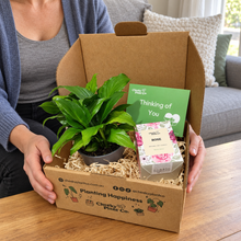 Load image into Gallery viewer, Peace Lily & Candle Gift Box