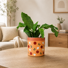 Load image into Gallery viewer, Climbing Plant Support Kit - Pizza Pot Bundle
