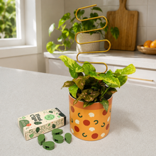 Load image into Gallery viewer, Climbing Plant Support Kit - Pizza Pot Bundle