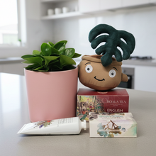 Load image into Gallery viewer, Product arrangement on marble benchtop