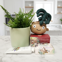 Load image into Gallery viewer, Product arrangement with kitchen background only