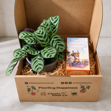 Load image into Gallery viewer, Tea & Plant Gift Box