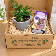 Load image into Gallery viewer, Tea & Plant Gift Box