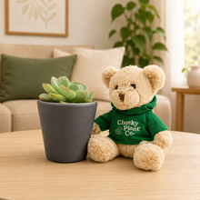 Load image into Gallery viewer, Teddy Bear & Succulent Gift Box