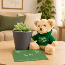 Load image into Gallery viewer, Teddy Bear & Succulent Gift Box