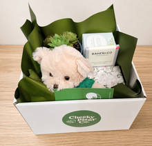 Load image into Gallery viewer, Thinking of You - Succulent Hamper / Succulent Gift Box - Sydney Only