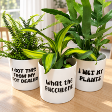 Load image into Gallery viewer, Trio Assorted Indoor Plants in Funny Pots (12.5cmD x 12cmH) - Sydney Only
