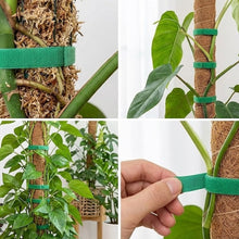 Load image into Gallery viewer, Grow Plants Taller Care Bundle
