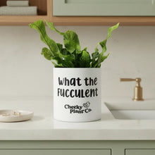 Load image into Gallery viewer, Plant Drama - Pot Bundle