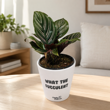 Load image into Gallery viewer, Sip & Grow WTF - Plant Lover Bundle