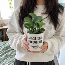 Load image into Gallery viewer, WTF Best Mates - Pot Bundle