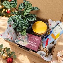 Load image into Gallery viewer, Christmas Plant Gift Box