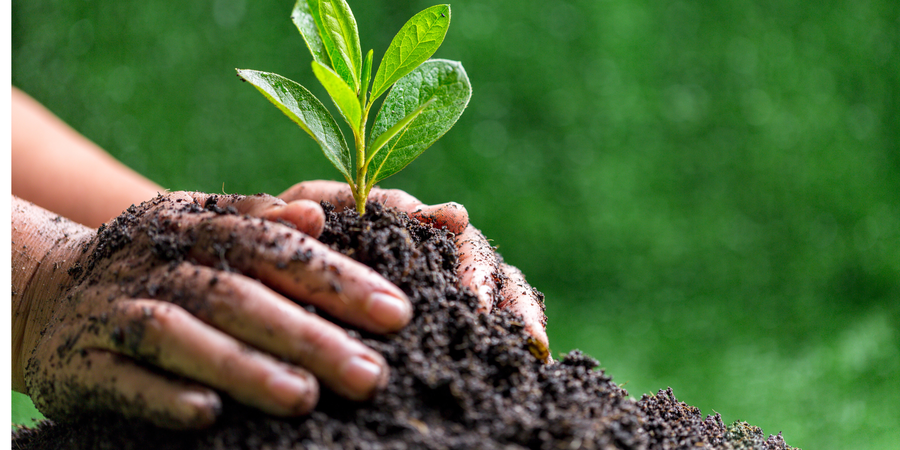 World Plant Day Gifts