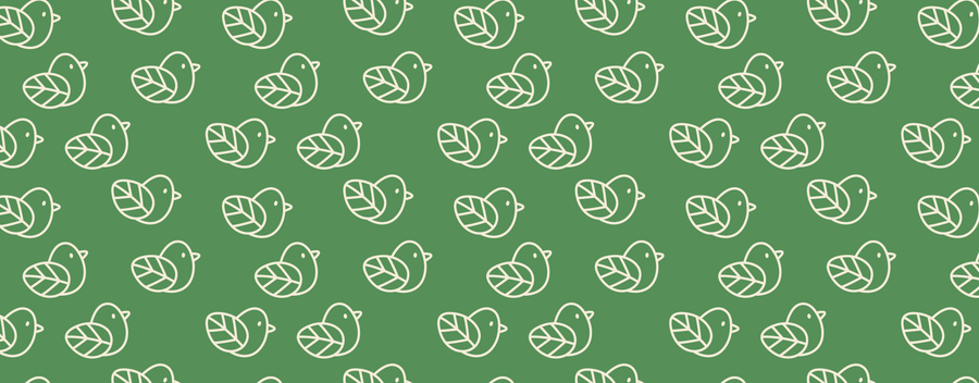 Cheeky Plant Co. Merch