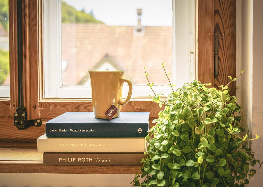 Get Well Soon Plant Gifts