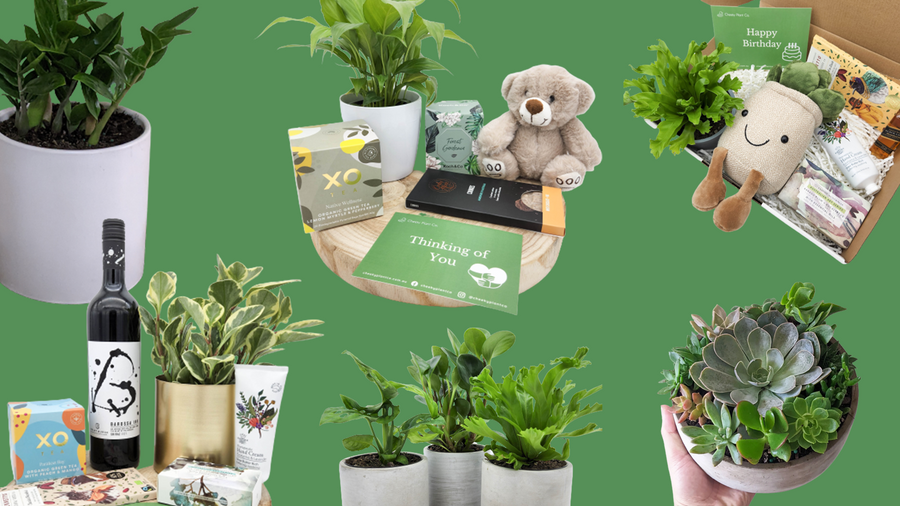 Same/Next Day Delivery (Sydney Only)