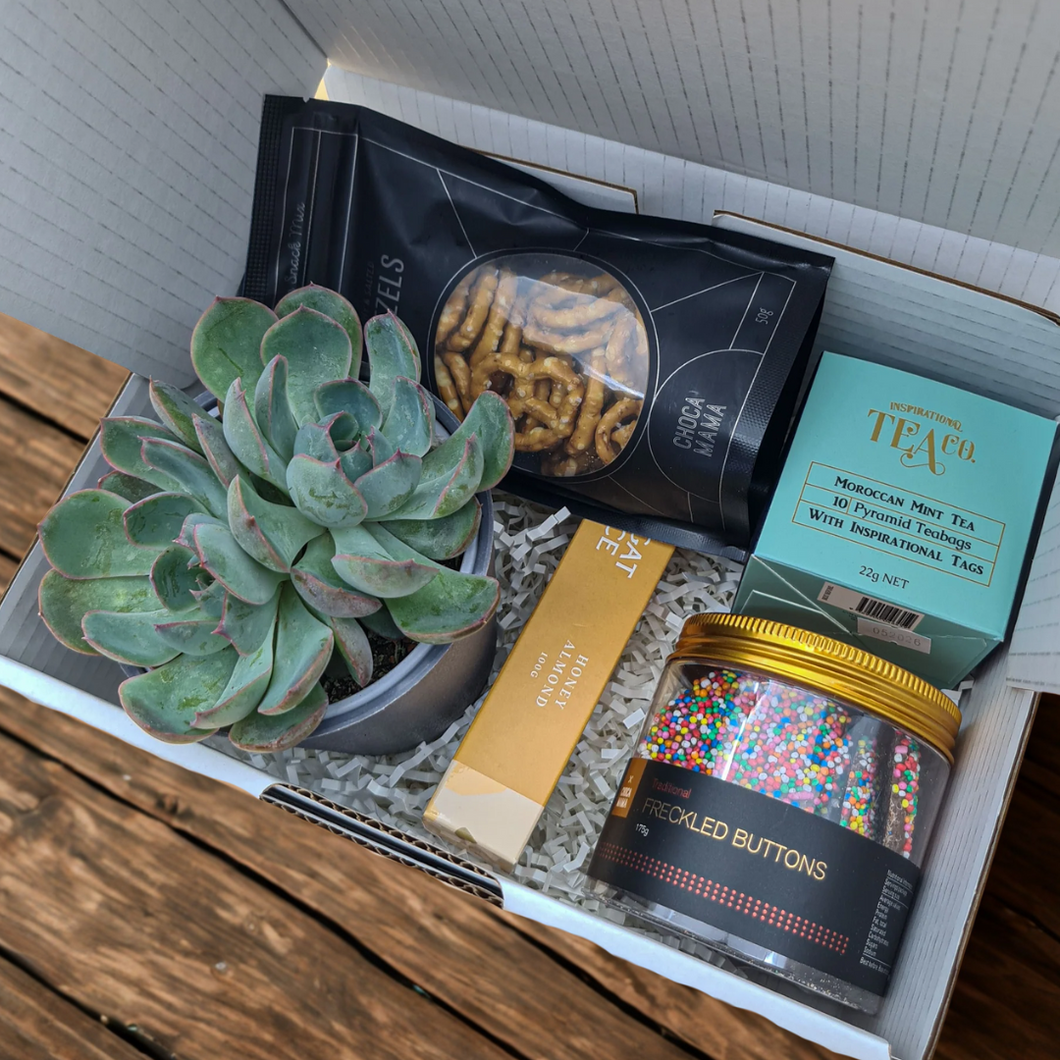 Congratulations - Succulent Gift Box