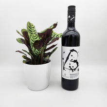 Load image into Gallery viewer, Housewarming Gift - Wine with Assorted Houseplant - Sydney Only
