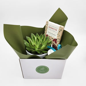 Condolence Gift Hamper - Better than Bouquets - Sydney Only