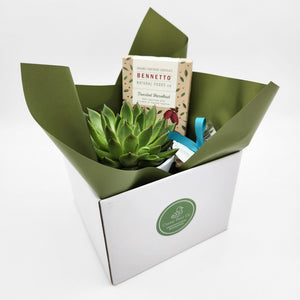 Condolence Gift Hamper - Better than Bouquets - Sydney Only