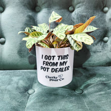Load image into Gallery viewer, I Got This From My Pot Dealer - Cheeky Plant Co. Pot - 12.5cmD x 12cmH

