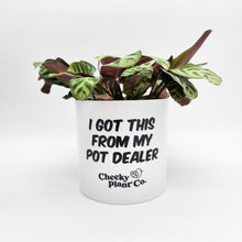 Load image into Gallery viewer, I Got This From My Pot Dealer - Cheeky Plant Co. Pot - 12.5cmD x 12cmH

