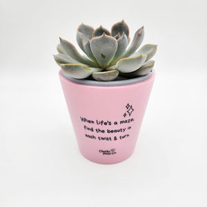 When Life's a Maze - Cheeky Plant Co. Positive Pot - 11cmD x 11cmH