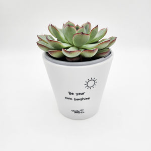 Be Your Own Sunshine - Cheeky Plant Co. Positive Pot - 11cmD x 11cmH