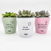 Load image into Gallery viewer, Be Your Own Sunshine - Cheeky Plant Co. Positive Pot - 11cmD x 11cmH
