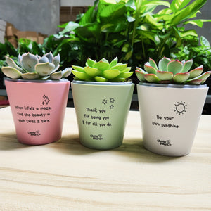 Be Your Own Sunshine - Cheeky Plant Co. Positive Pot - 11cmD x 11cmH